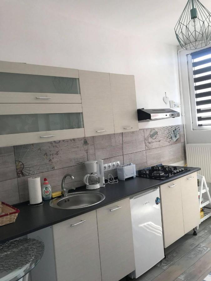 Mcm Studio Apartment Sibiu Exterior photo