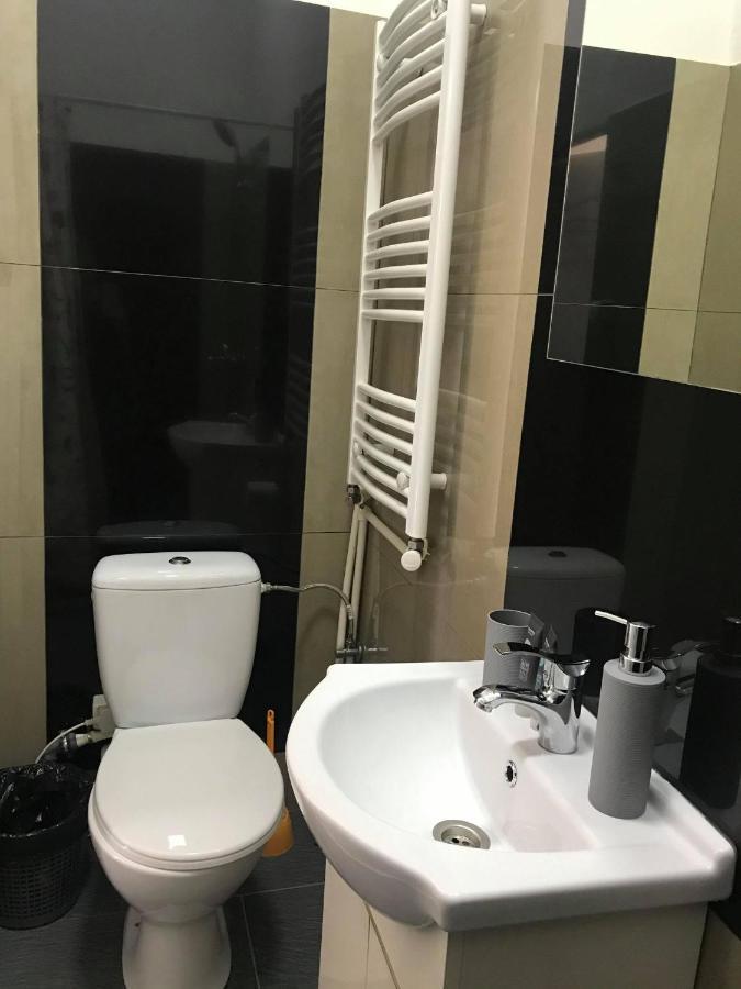 Mcm Studio Apartment Sibiu Exterior photo