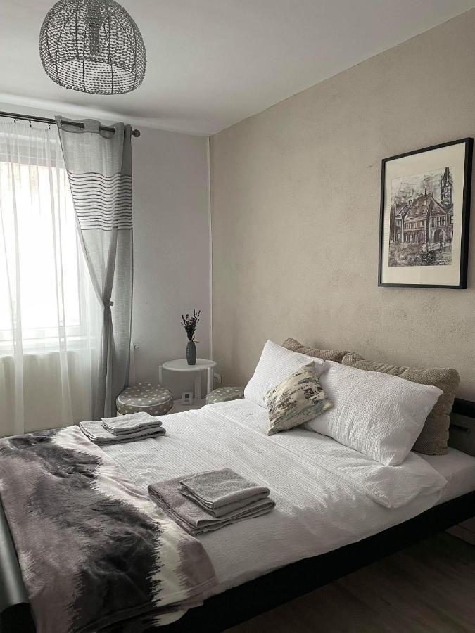 Mcm Studio Apartment Sibiu Exterior photo